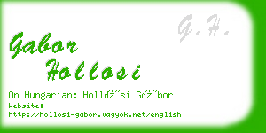 gabor hollosi business card